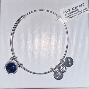 Alex and Ani Blue Bracelet